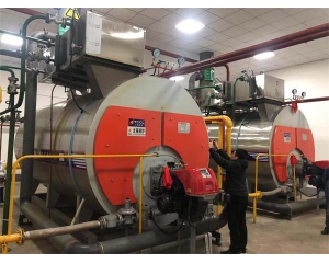 Our engineers install steam boiler for mushroom
