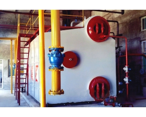 SZS series biogas boiler was successfully ignited to help the paper mill decoration paper