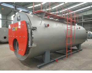Paper industry 10 tons WNS series fuel gas steam boiler project