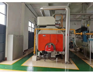 Steam boiler used for fruit and vegetable processing tomato sauce
