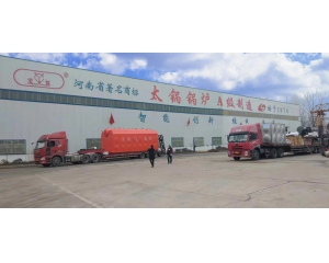 Henan Taiguo cooperated with twin group of feed industry, biomass boiler was well received by custom