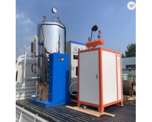 Industrial food disinfection with gas-fired boiler, oil steam boilers and steam generators 